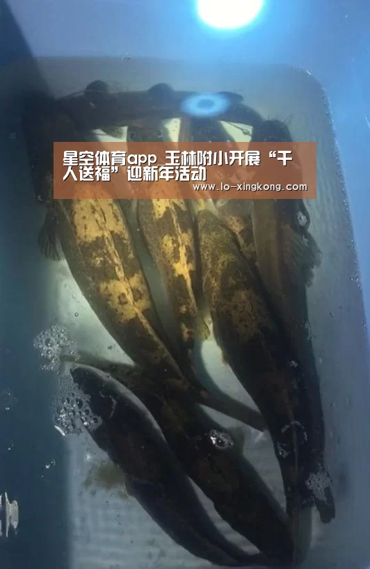 星空体育官网